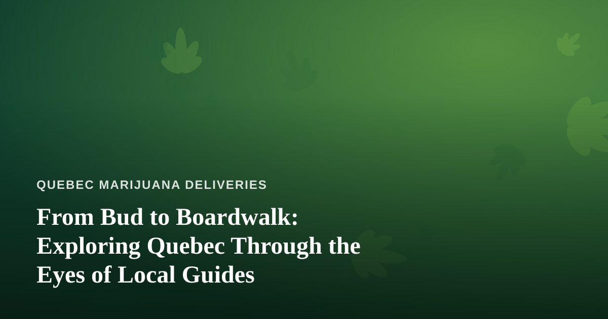 From Bud to Boardwalk: Exploring Quebec Through the Eyes of Local Guides