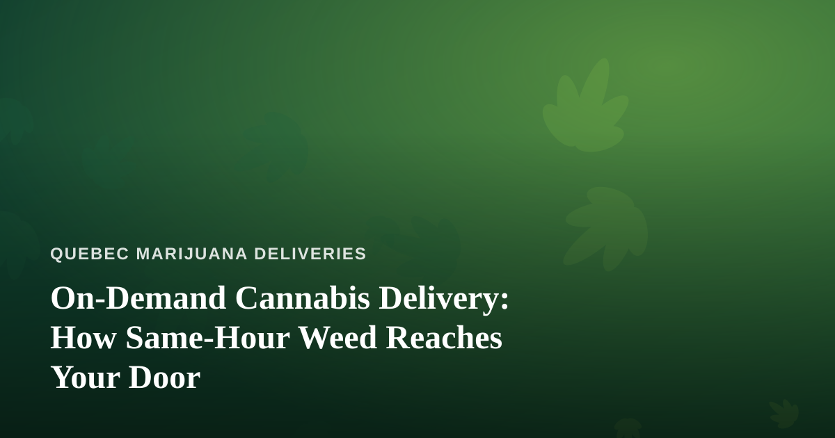 On-Demand Cannabis Delivery: How Same-Hour Weed Reaches Your Door