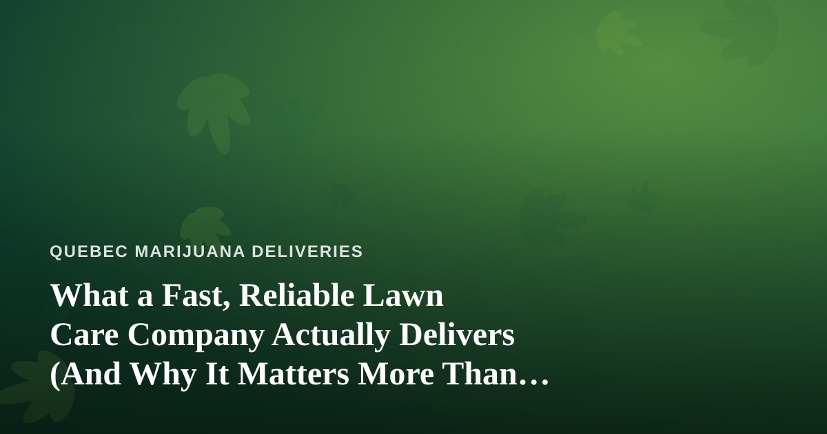 What a Fast, Reliable Lawn Care Company Actually Delivers (And Why It Matters More Than You Think)