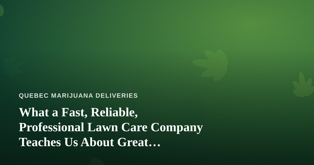 What a Fast, Reliable, Professional Lawn Care Company Teaches Us About Great Cannabis Delivery